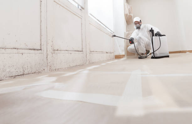 24/7 Emergency Attic Mold Removal experts in Gainesville, GA